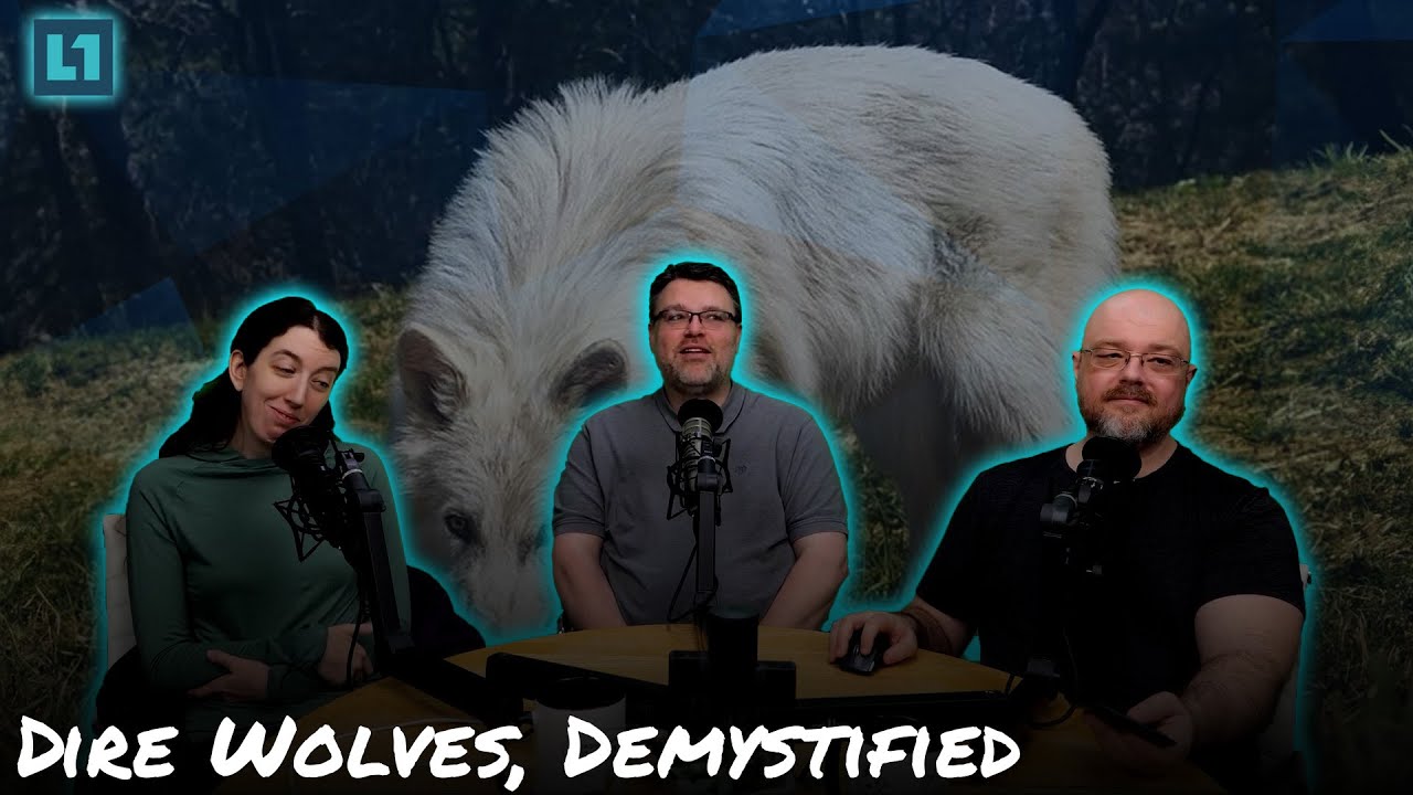 The Level1 Links With Friends Show April 18 2025: Dire Wolves, Demystified