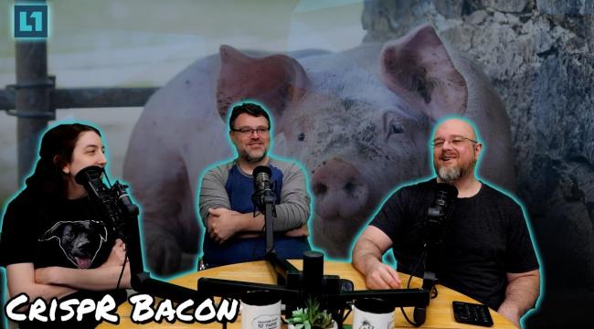 The Level1 Links With Friends Show May 16 2025: CrispR Bacon Thumbnail