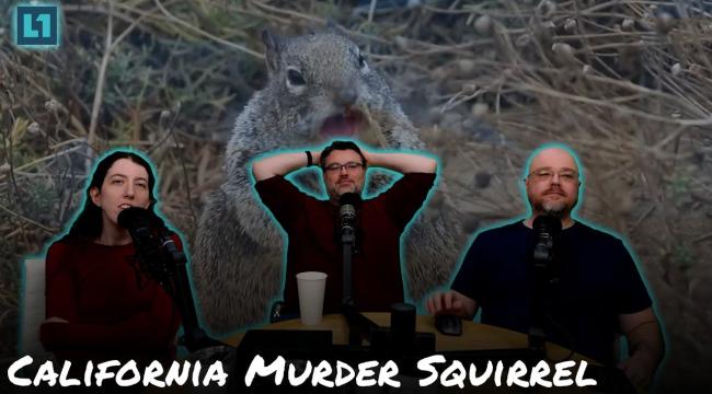 The Level1 Show December 27 2024: California Murder Squirrel Thumbnail