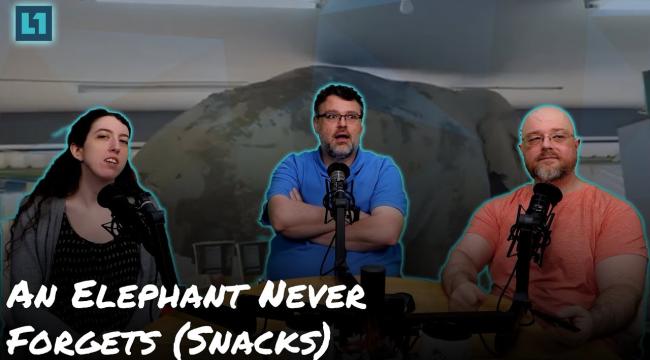 The Level1 Links With Friends Show June 13 2025: An Elephant Never Forgets (Snacks) Thumbnail