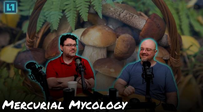 The Level1 Show November 22 2024: Mercurial Mycology Thumbnail