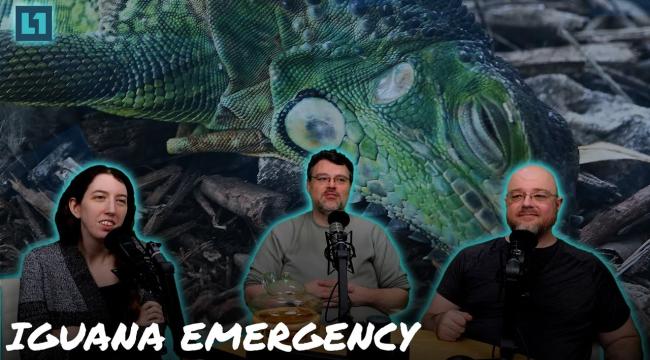 The Level1 Show January 17 2025: IGUANA EMERGENCY Thumbnail