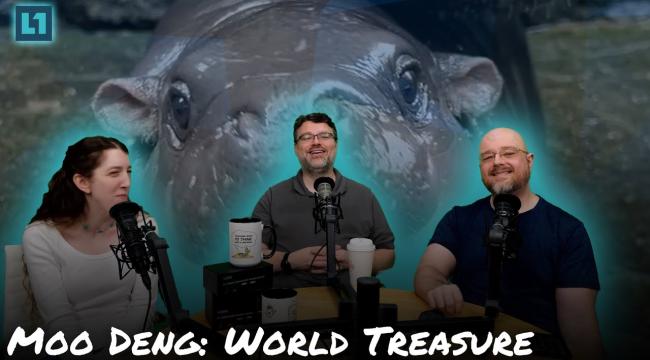 The Level1 Show September 27th: Moo Deng: World Treasure Thumbnail