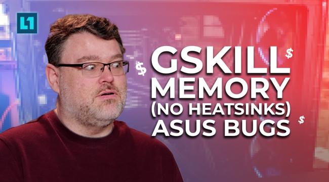 This G.Skill Memory Won't Throttle? And ASUS has a Bug Thumbnail