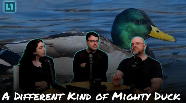 The Level1 Links With Friends Show June 6 2025: A Different Kind of Mighty Duck Thumbnail